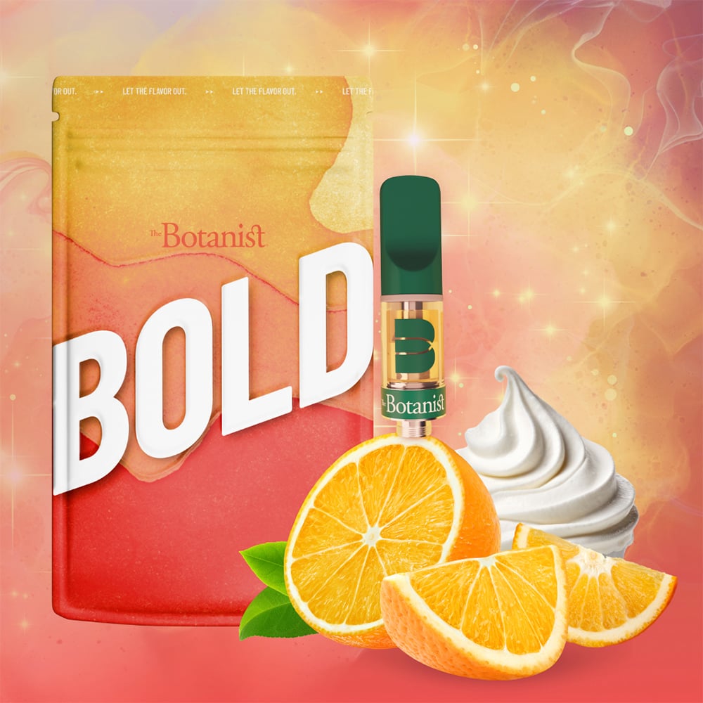 Bold Orange Cream