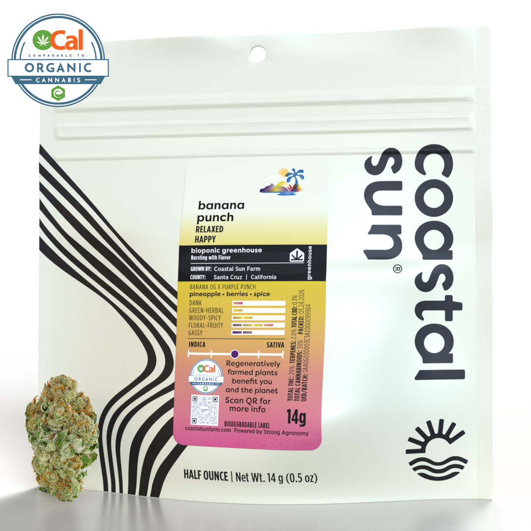 Shop Banana Punch | Surf City Original Dispensary Soquel, CA