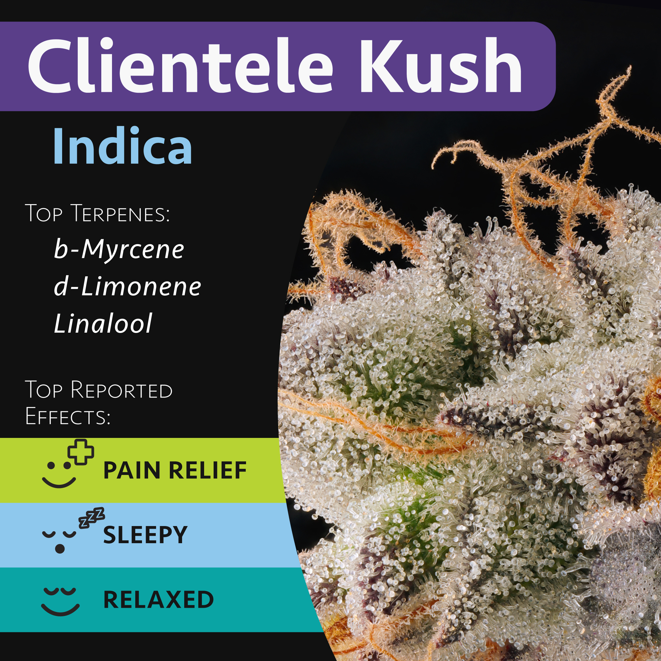 Clientele Kush