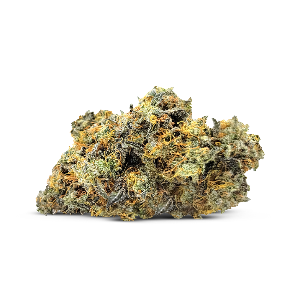 Melon Collie Float Greenhouse (Outdoor Flower) Jane