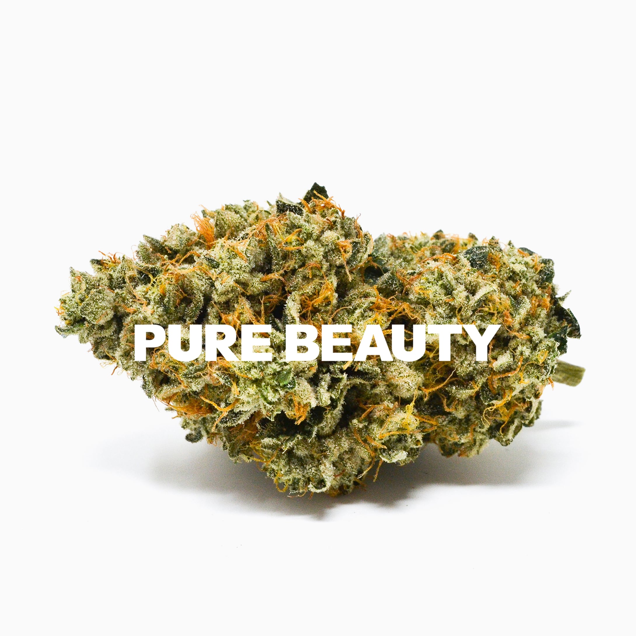 Bermuda Triangle Bermuda Triangle