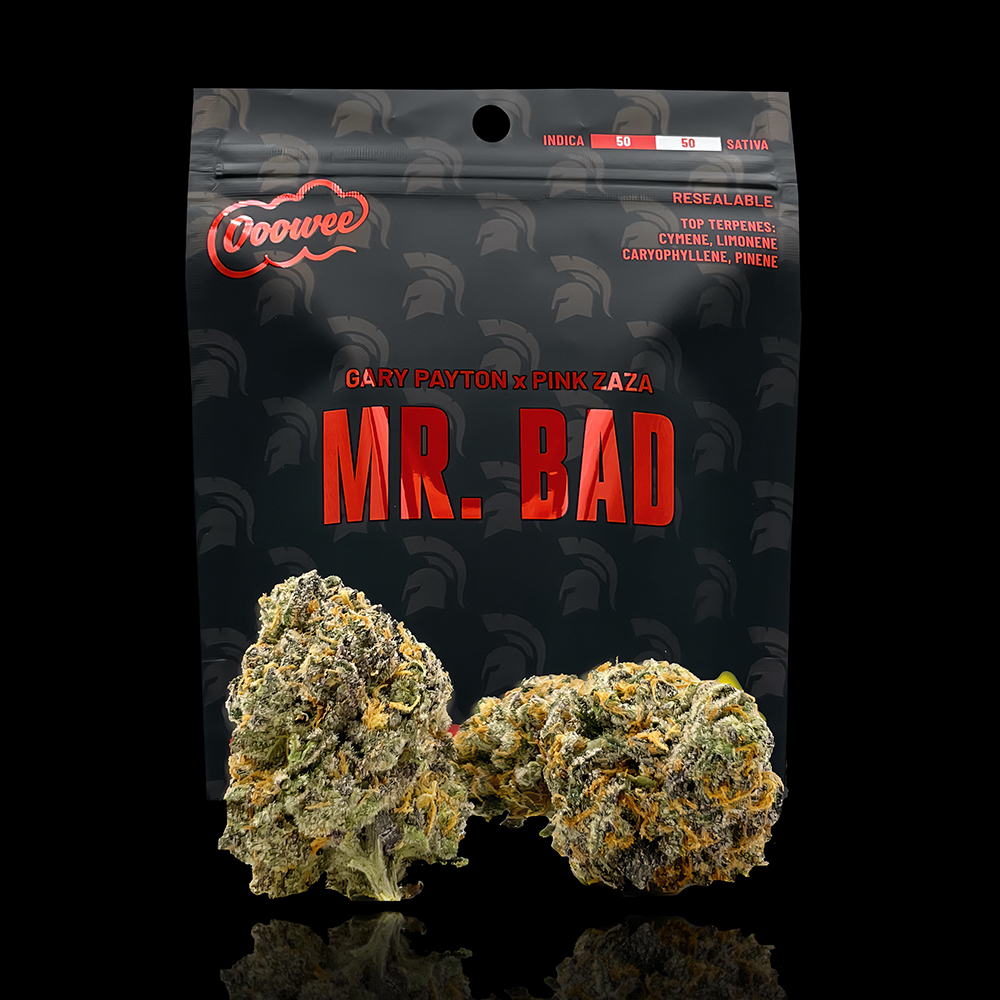 Mr. Bad