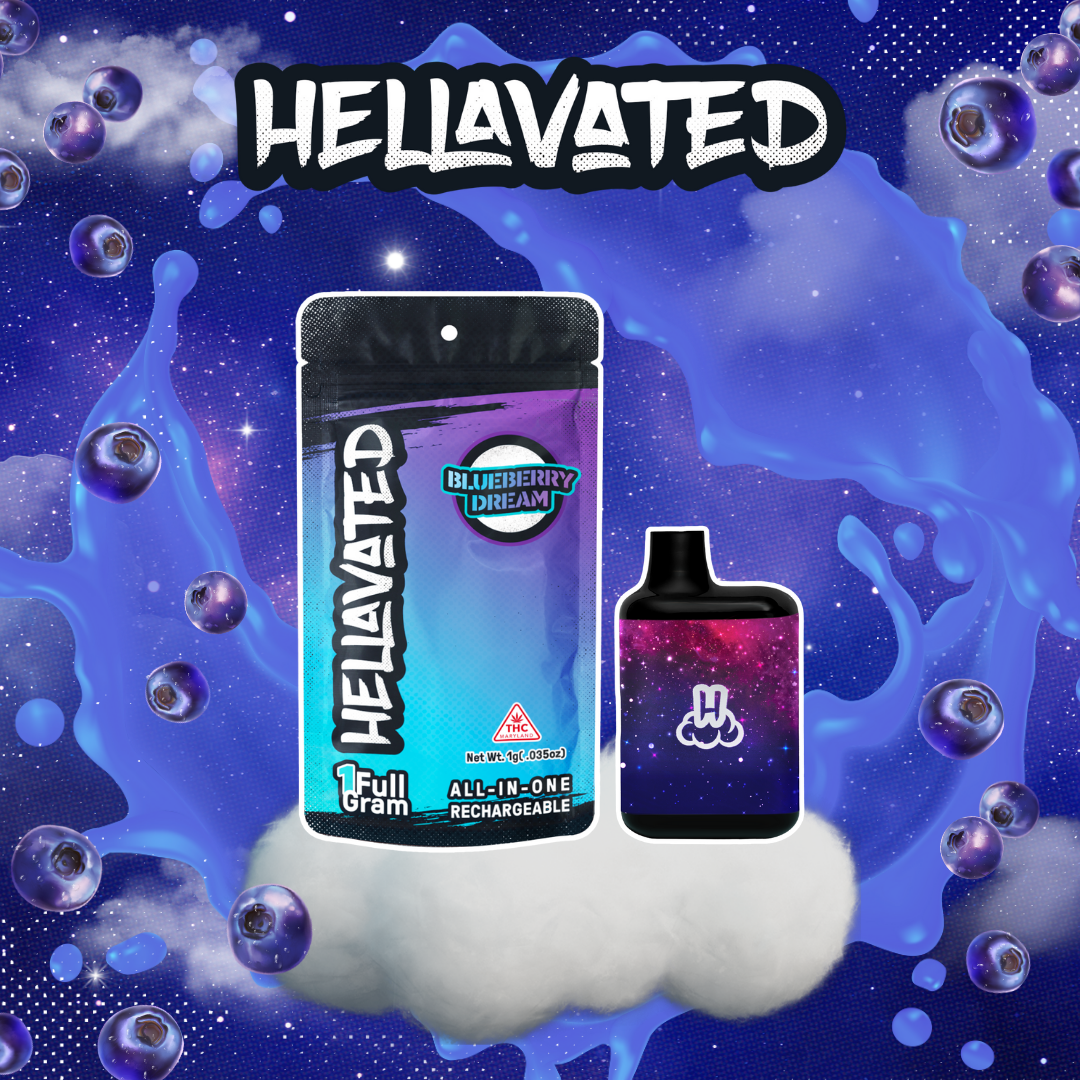 Blueberry Dream [1g]