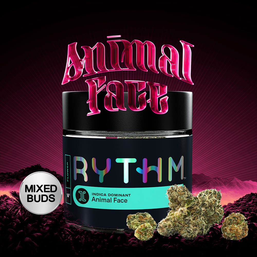 Rythm Battery + Charger undefined - Connecticut, Branford