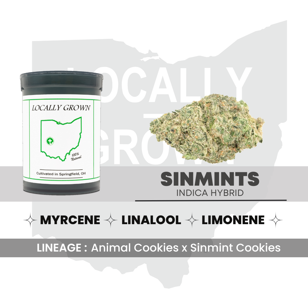 Shop Sin Mint Ice Cream [2.83g] | Jane