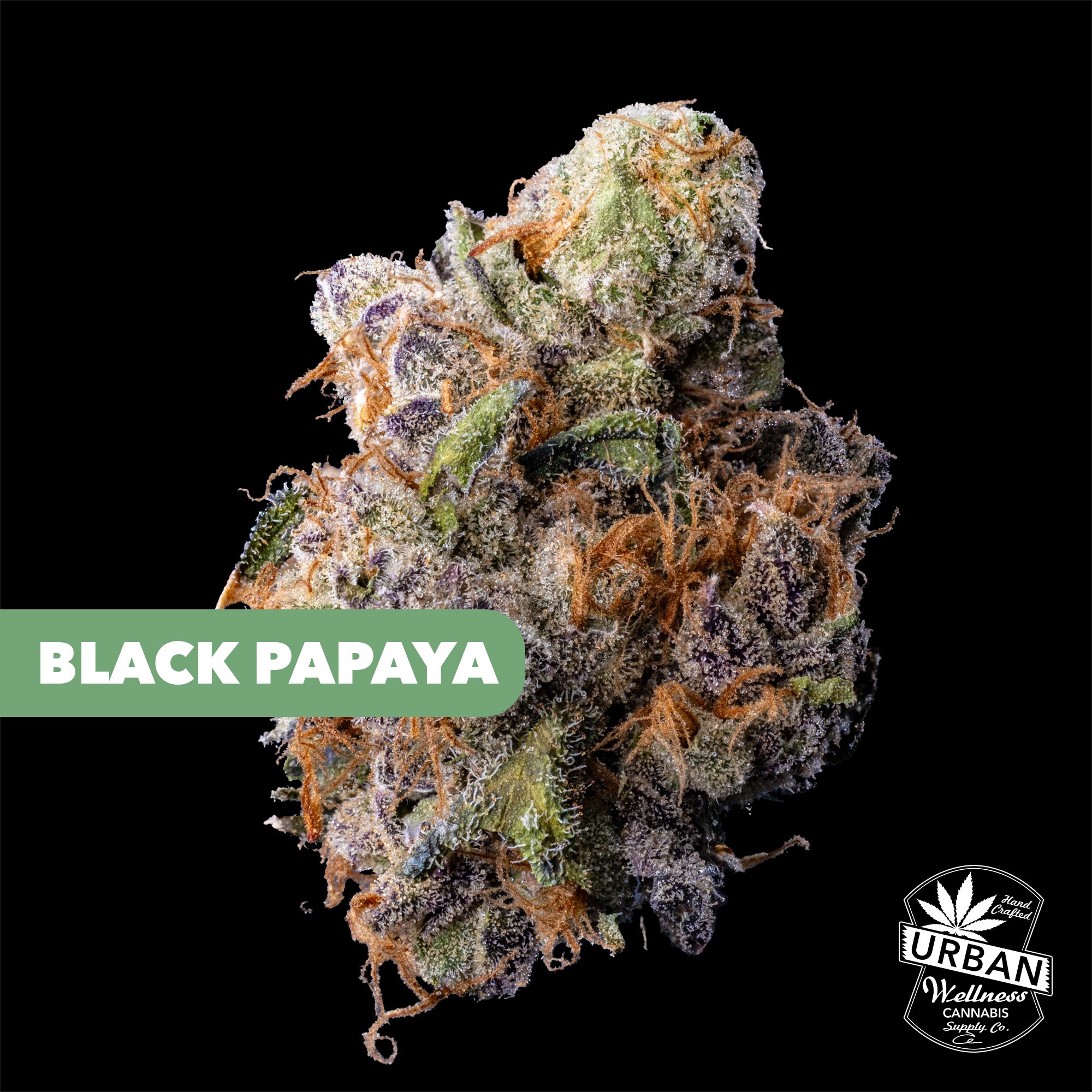 Black Papaya