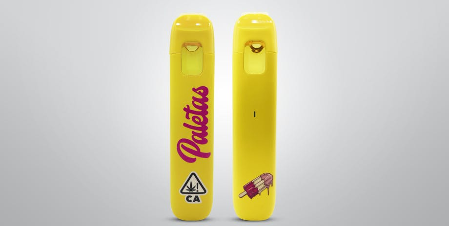 Paleta AIO Sandia (H) 1g