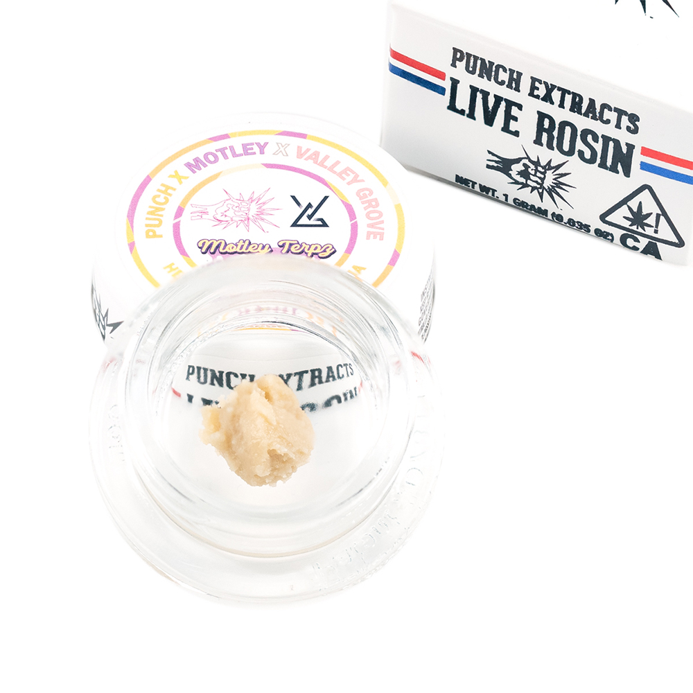 HB Sherb #16 x Toronja HB Sherb #16 x Toronja