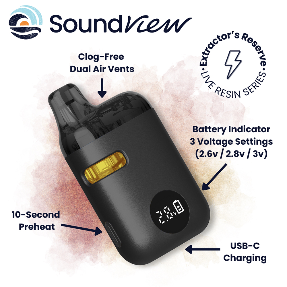 SoundView - Apple Fritter (H) Live Resin Disposable Vape (1g) C0080000146