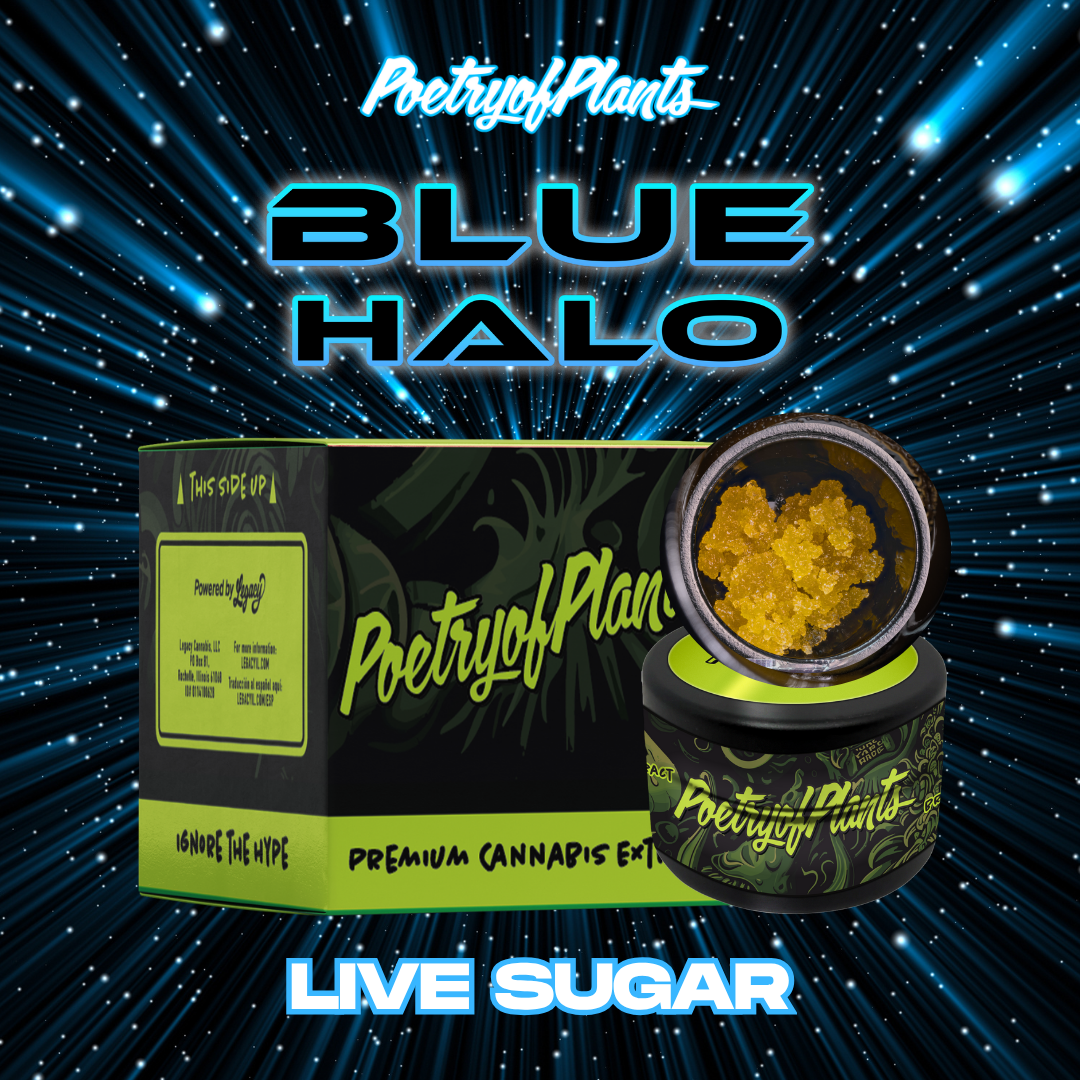 Blue Halo