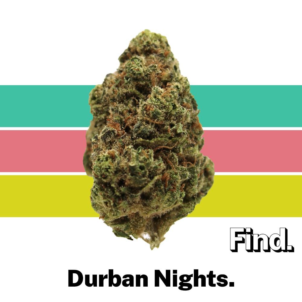 Durban Nights