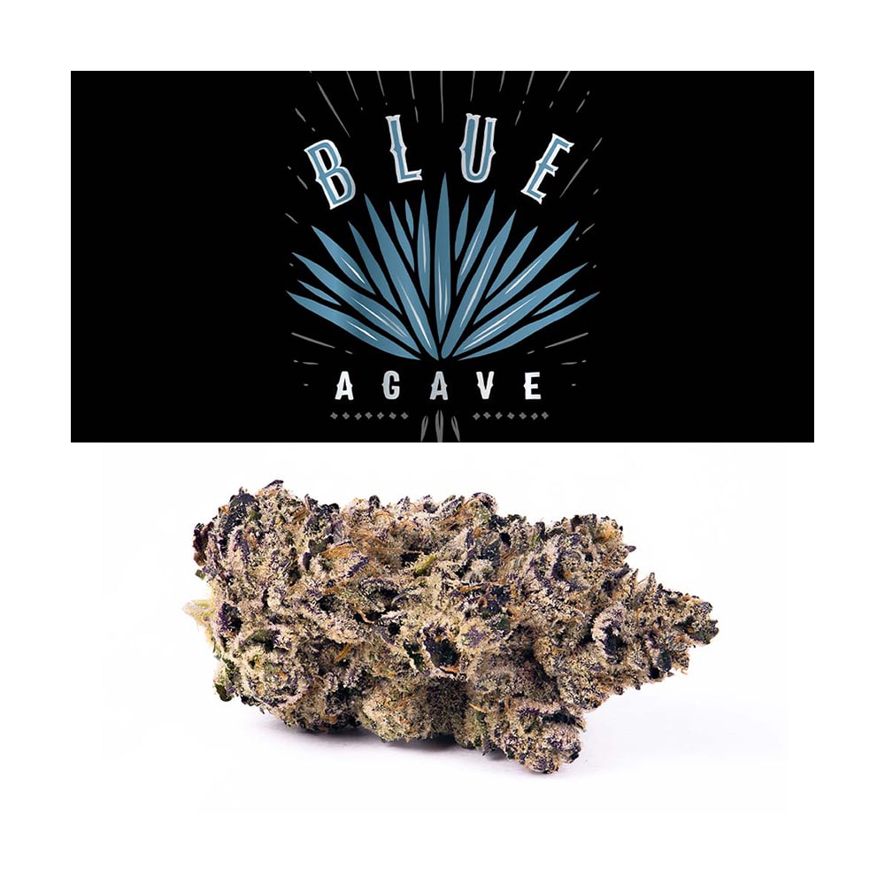 Blue Agave
