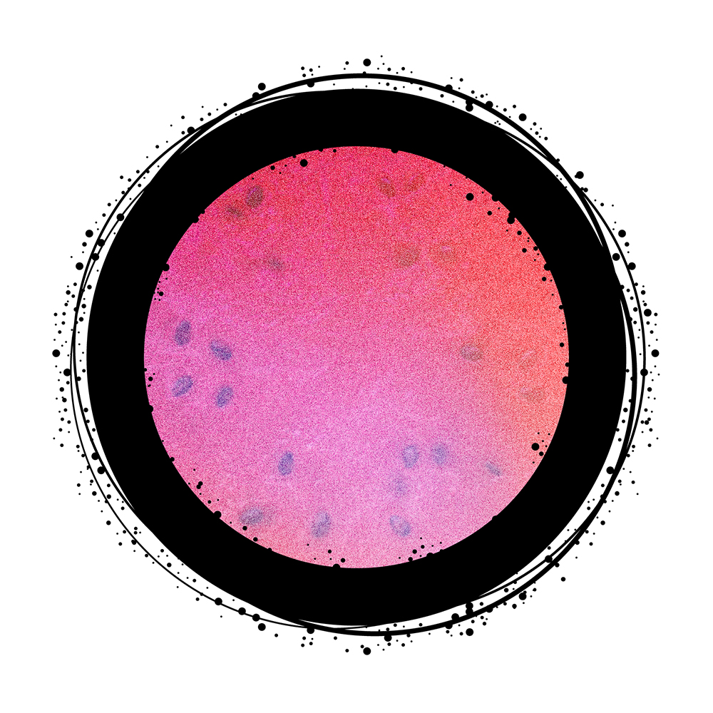 Watermelon Lemonade - Sativa (50mg)