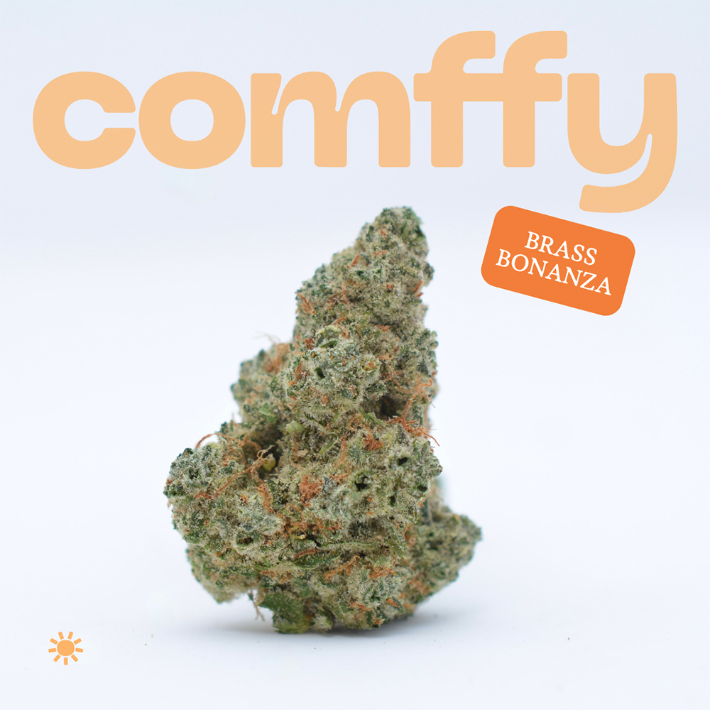 Comffy - Brass Bonanza (S) Flower  C0140000025
