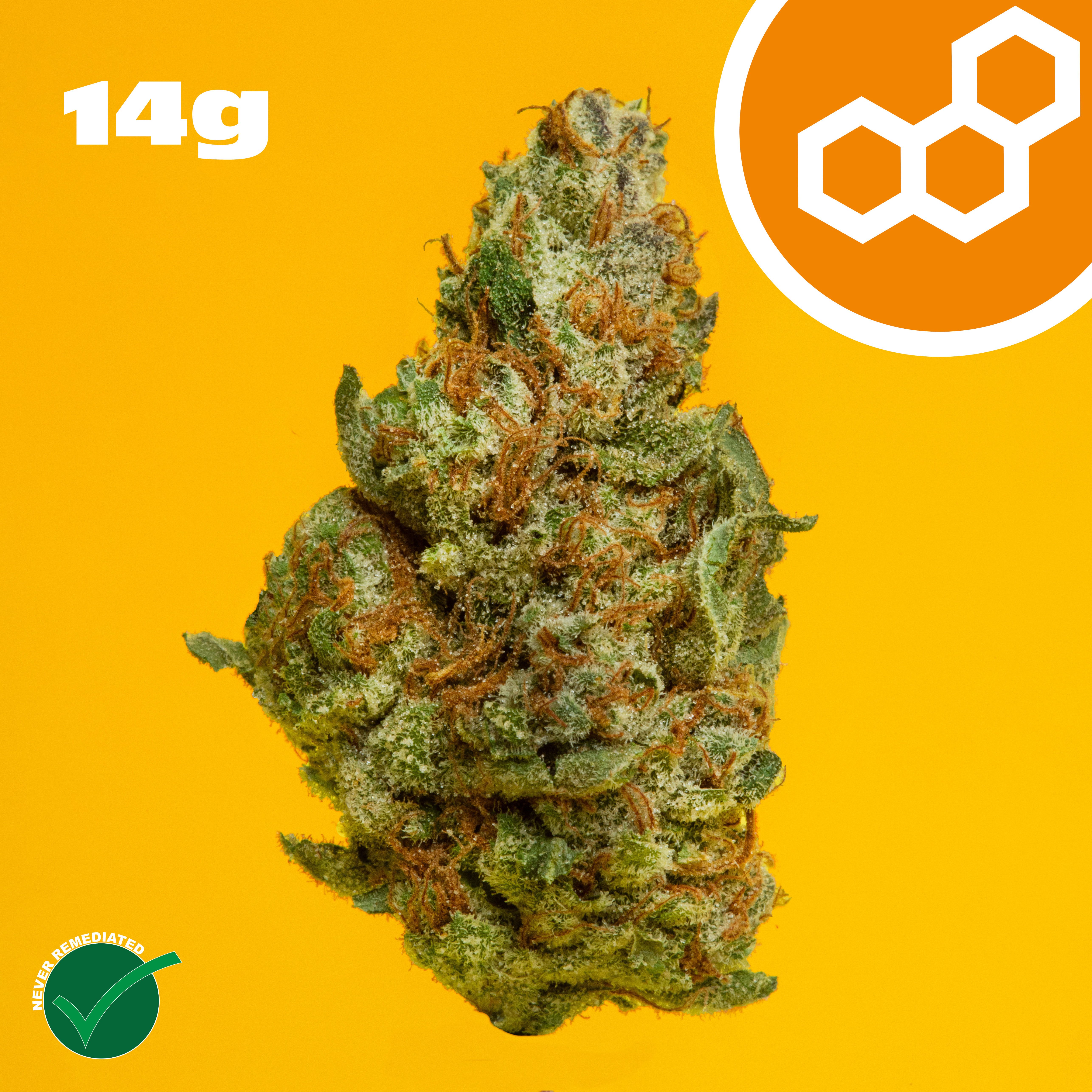Theraplant - Colorado Flo (S) Flower  C0040001532