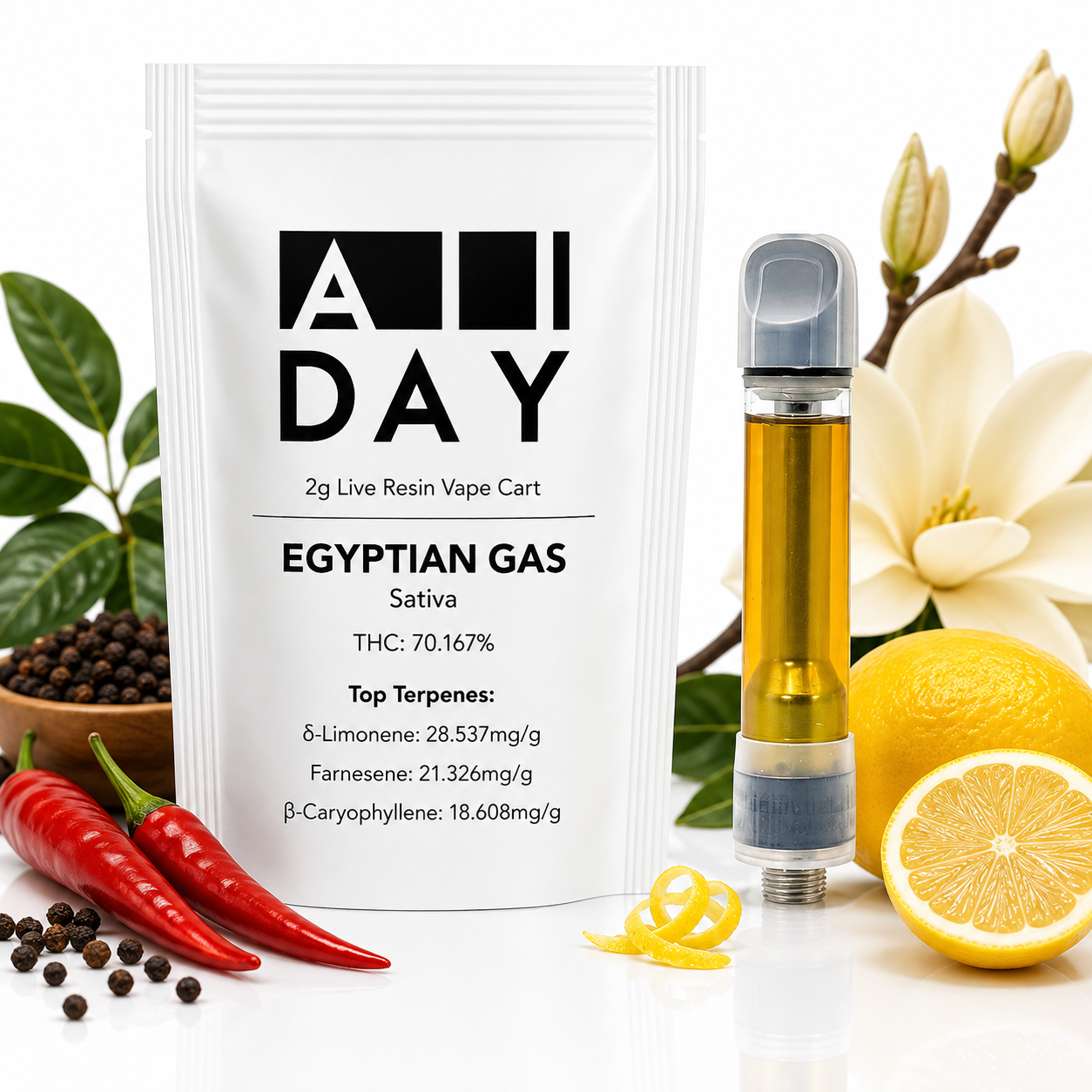 Egyptian Gas [2g]