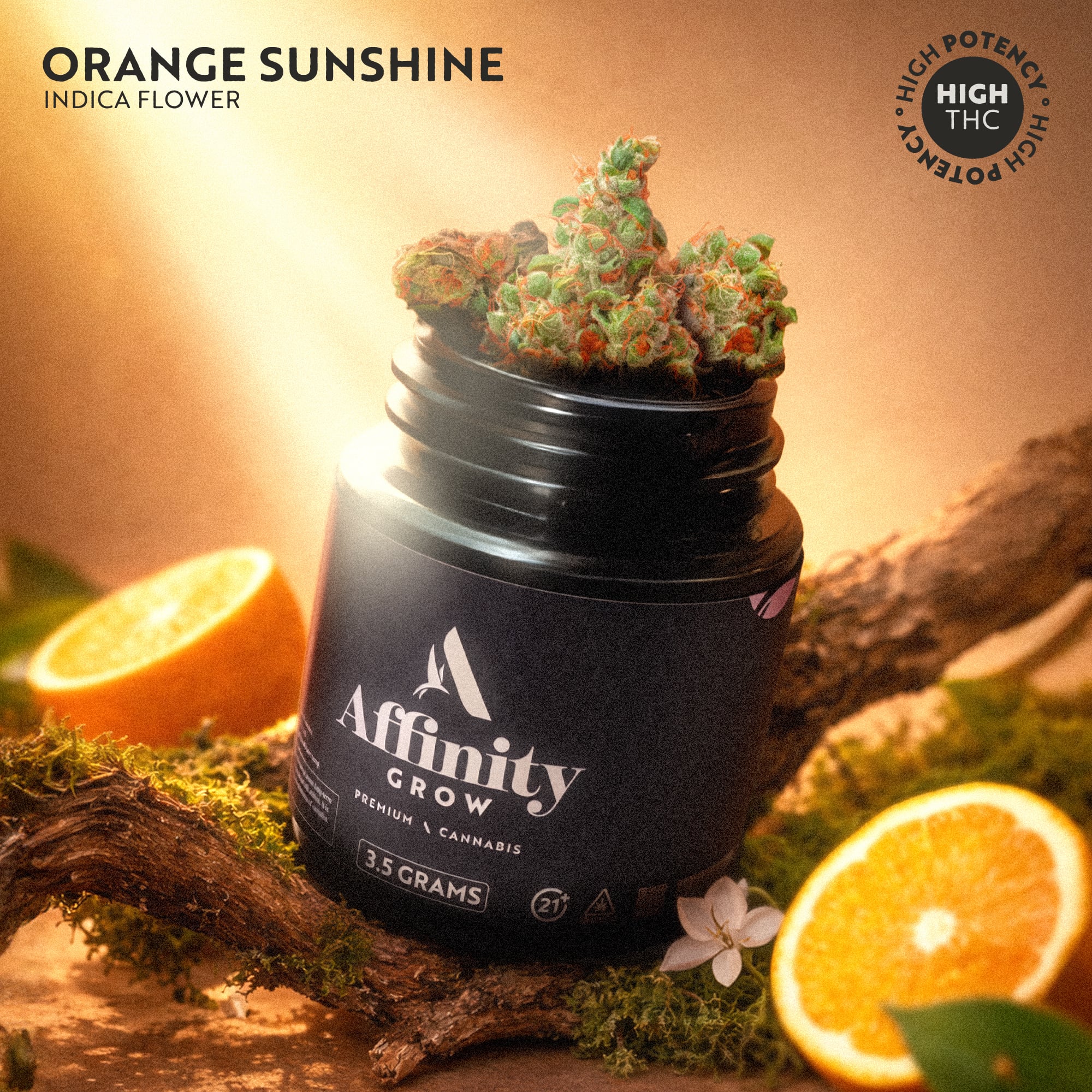 Affinity Grow - Orange Sunshine (I) Flower  C0090000940