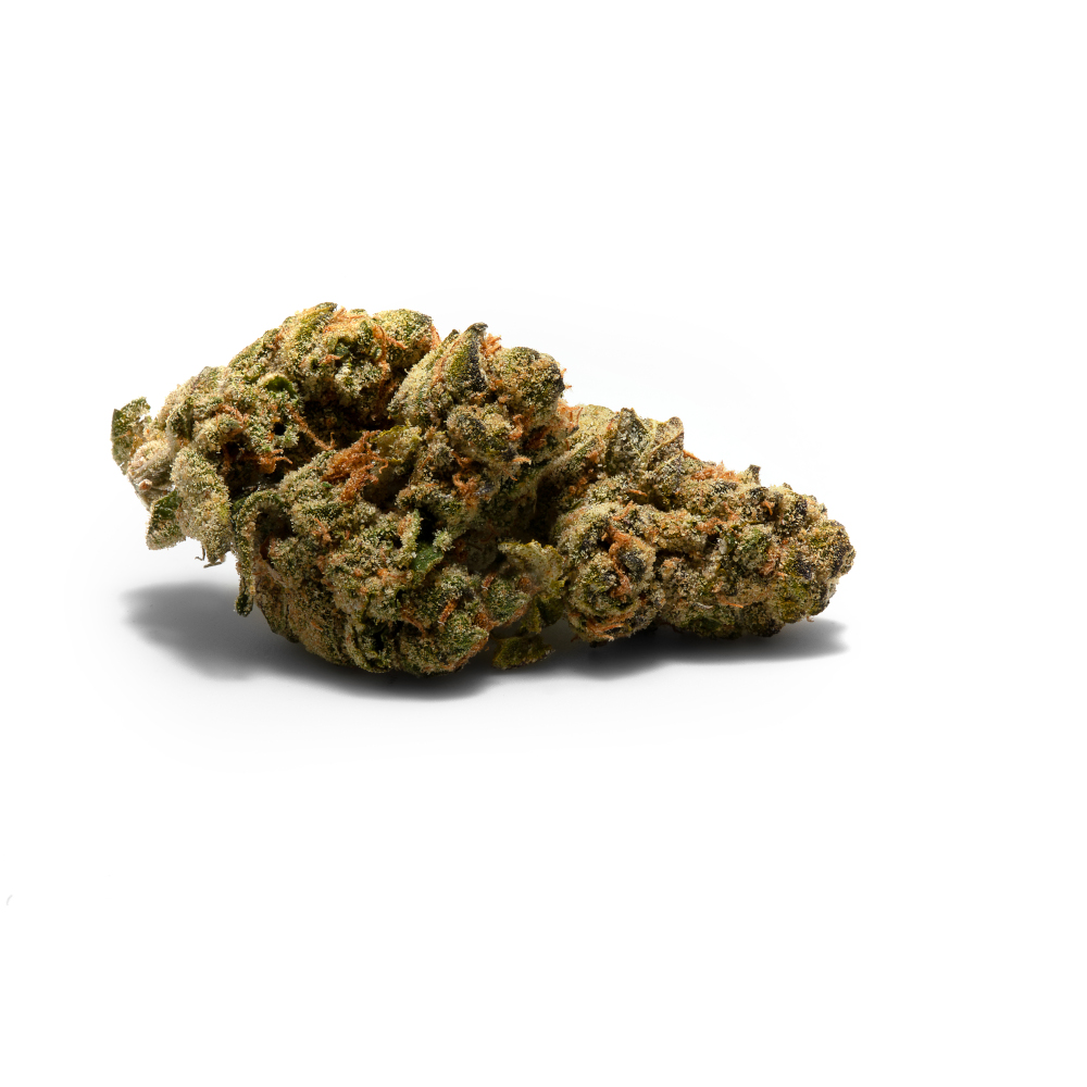 Double lemon pie tryke platinum label jane