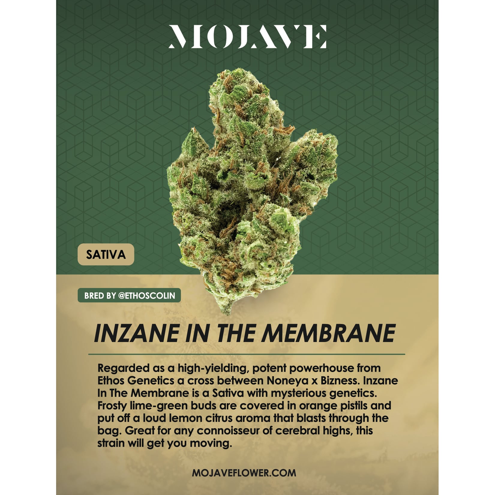 Inzane In The Membrane Inzane In The Membrane