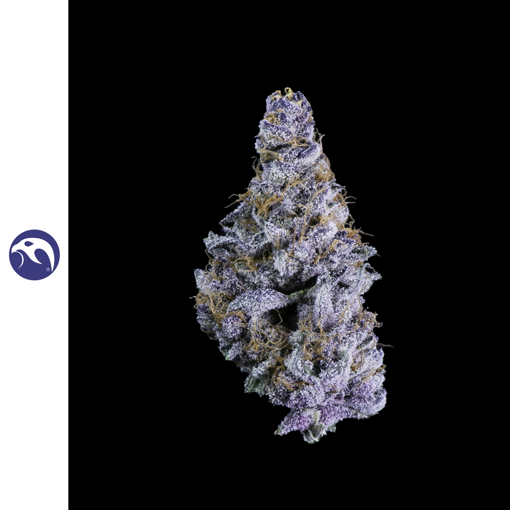 Blackberry Cherry