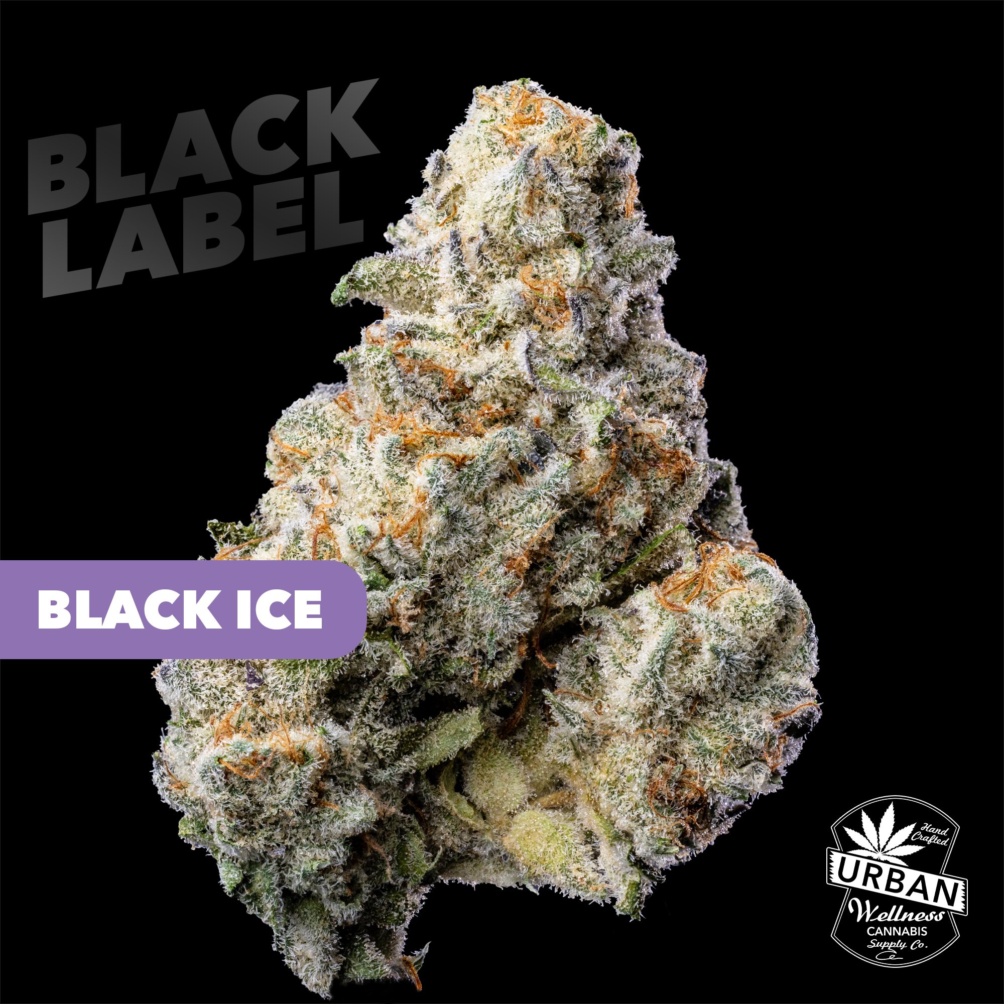 Black Label - Black Ice