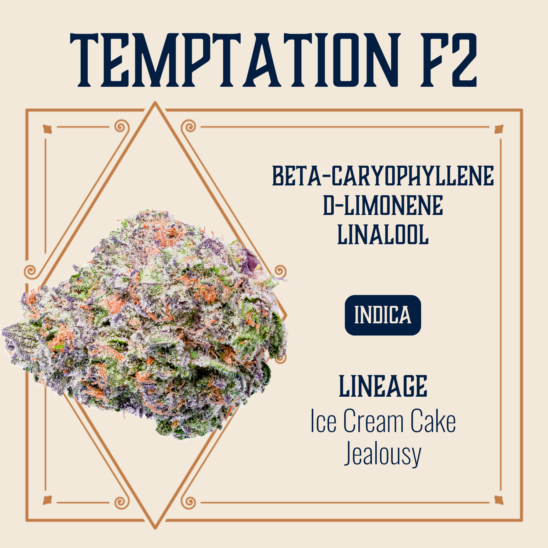 product card