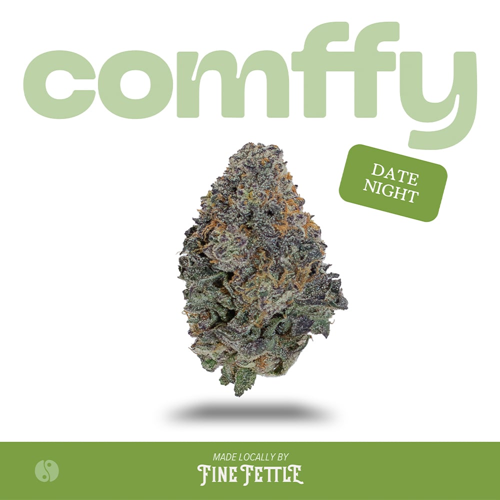 comffy - Date Night (H) Flower  C0140000234