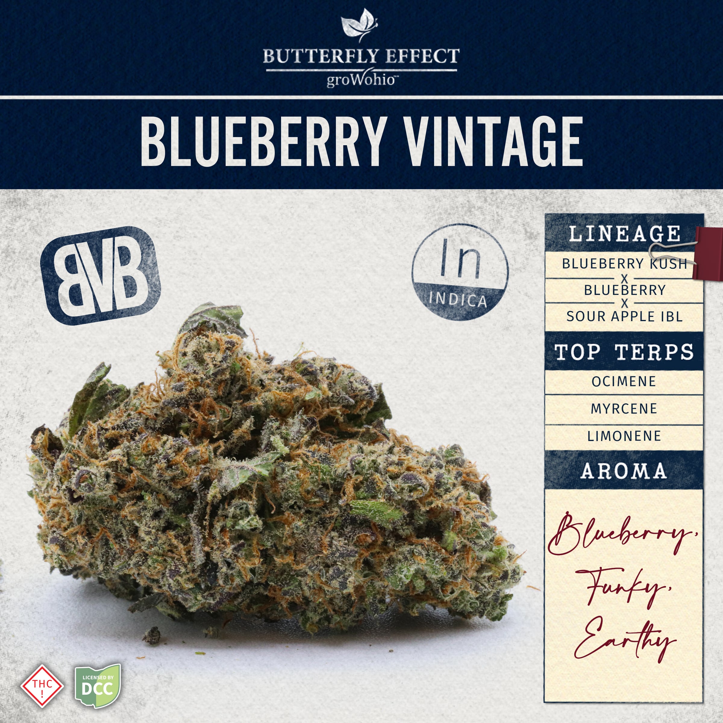 BUTTERFLY EFFECT - BLUEBERRY VINTAGE - [14.15G] - INDICA