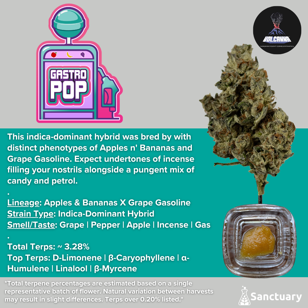 Sauce - Gastro Pop - Cured Resin