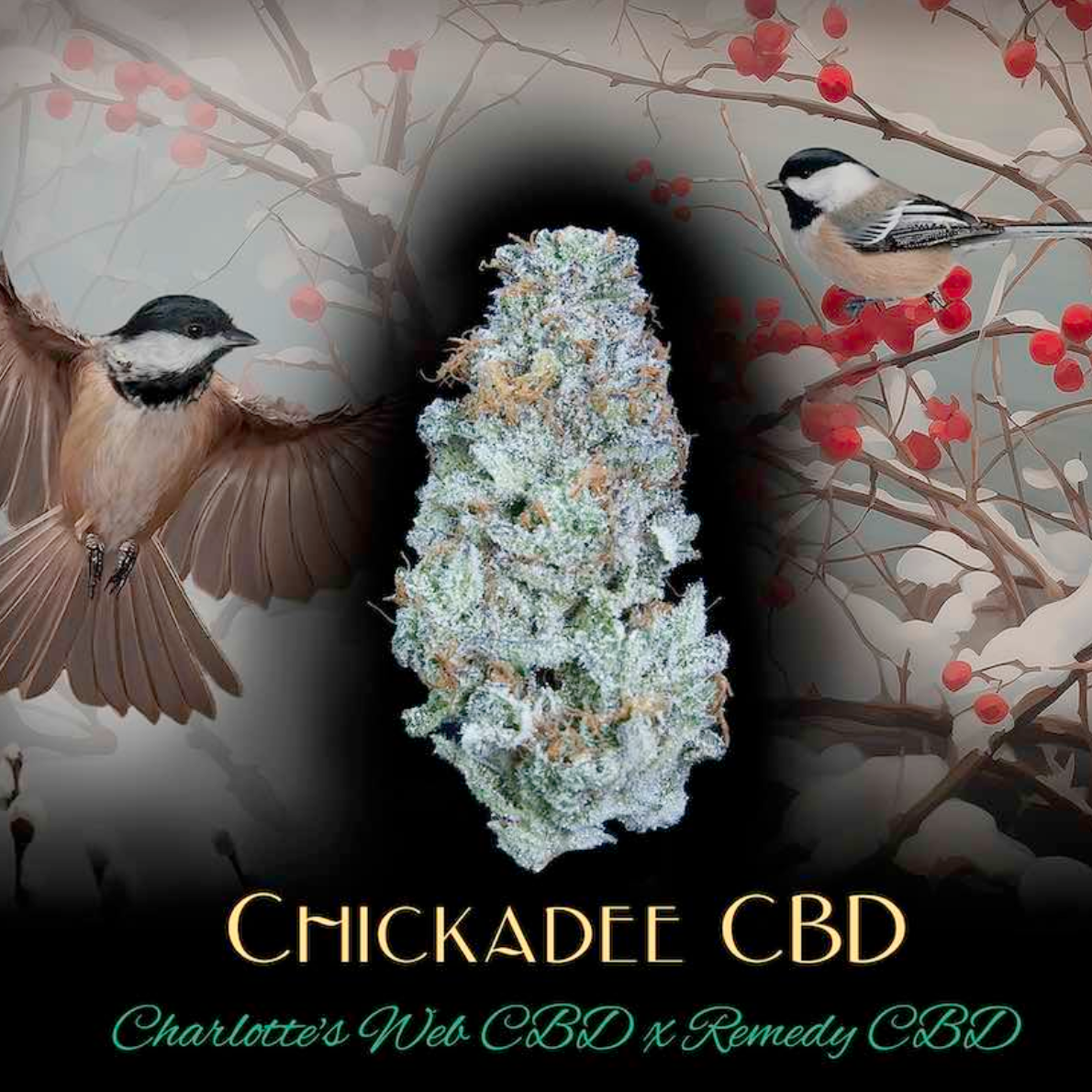Chickadee CBD