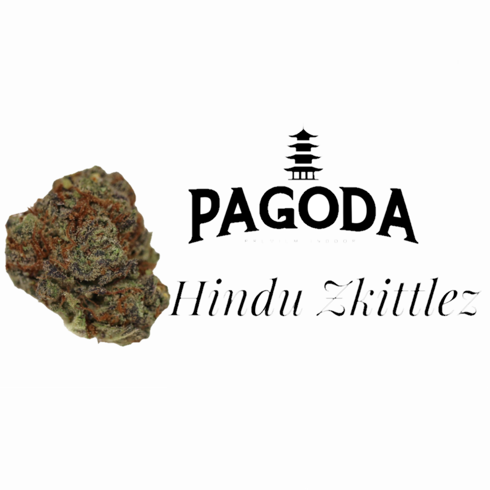 bouddha vap genlis Jagger