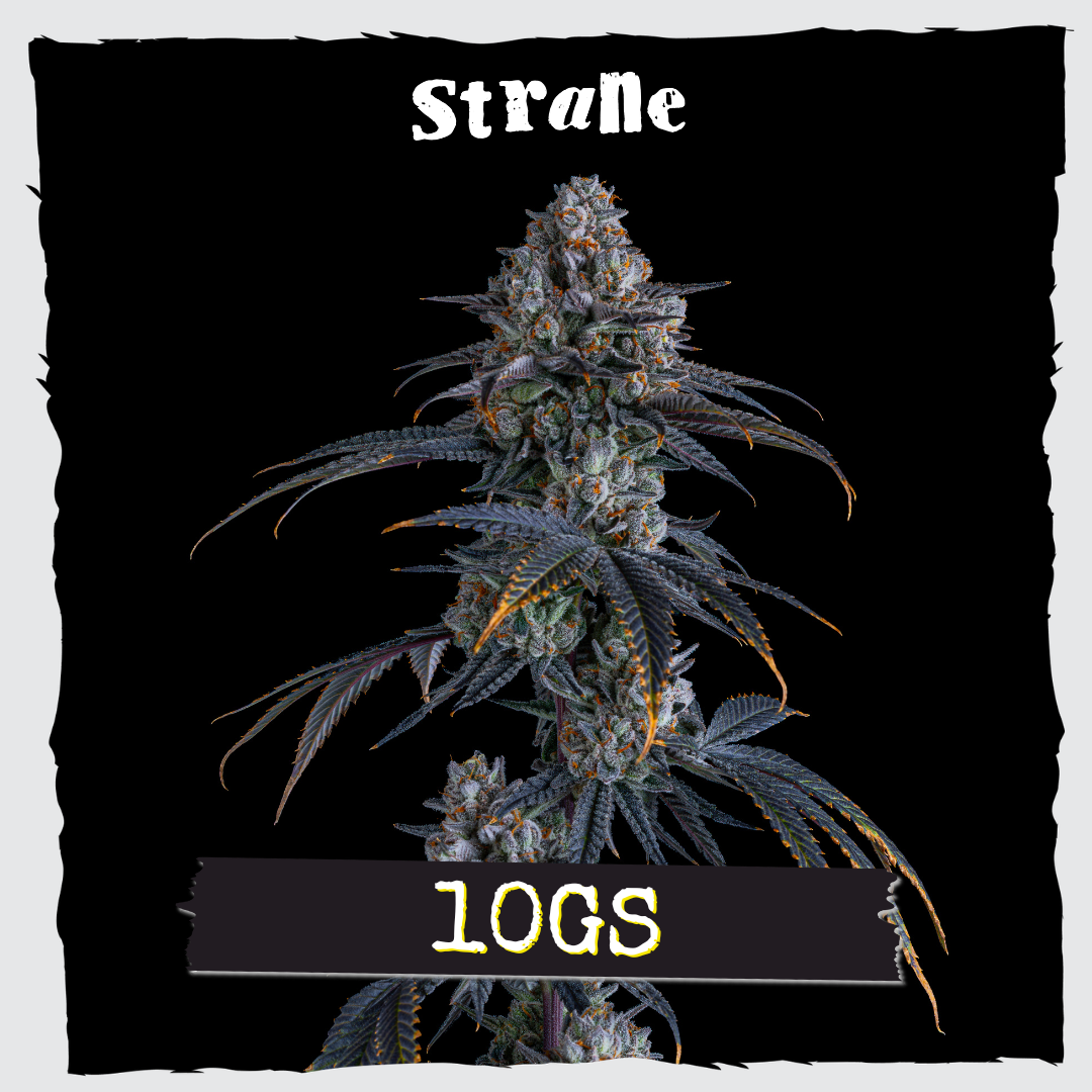 10Gs