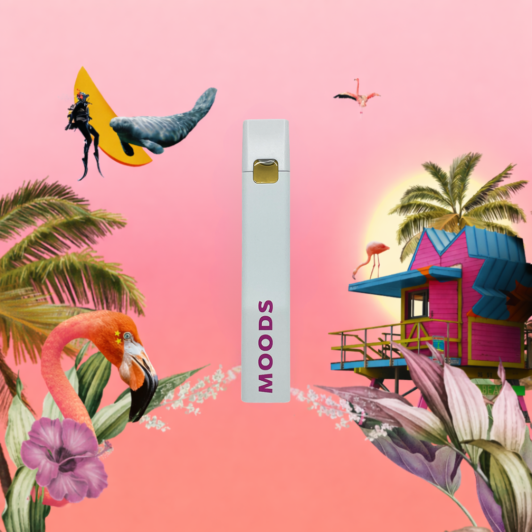 Shop Miami Vibes AIO [0.3g] | FLUENT - Gainesville Dispensary Gainesville,  FL