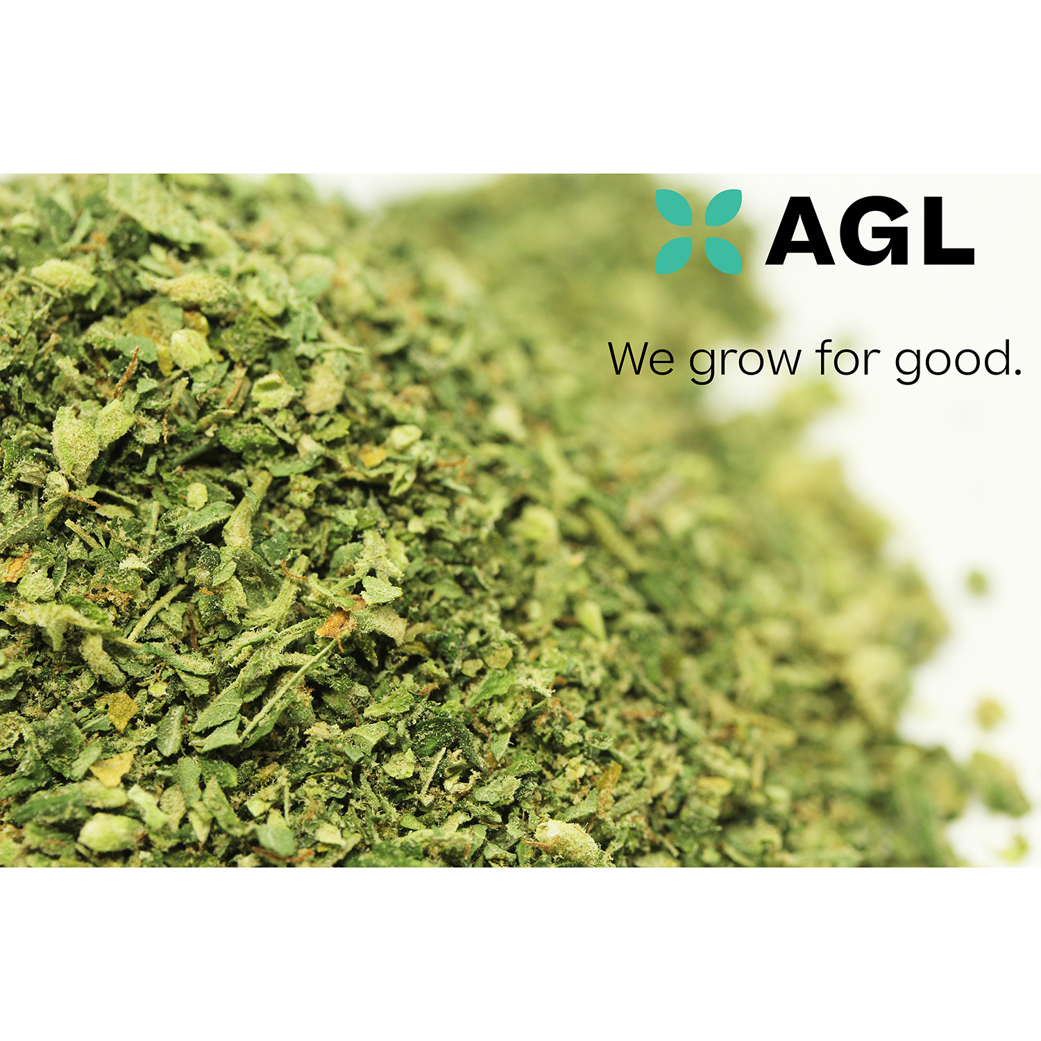 AGL Jet Fuel Select Grind 15.84% H 01075 7g
