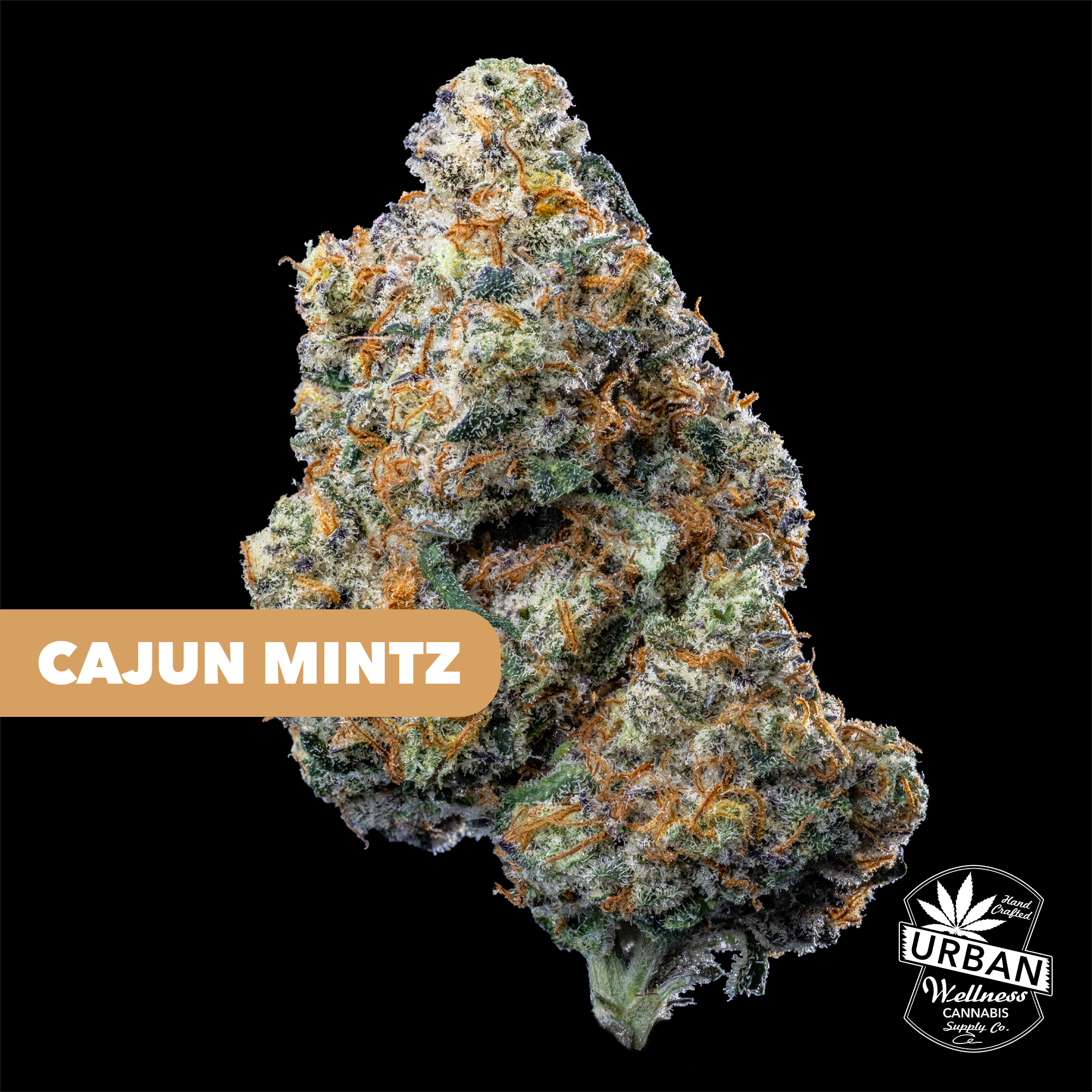 Cajun Mintz