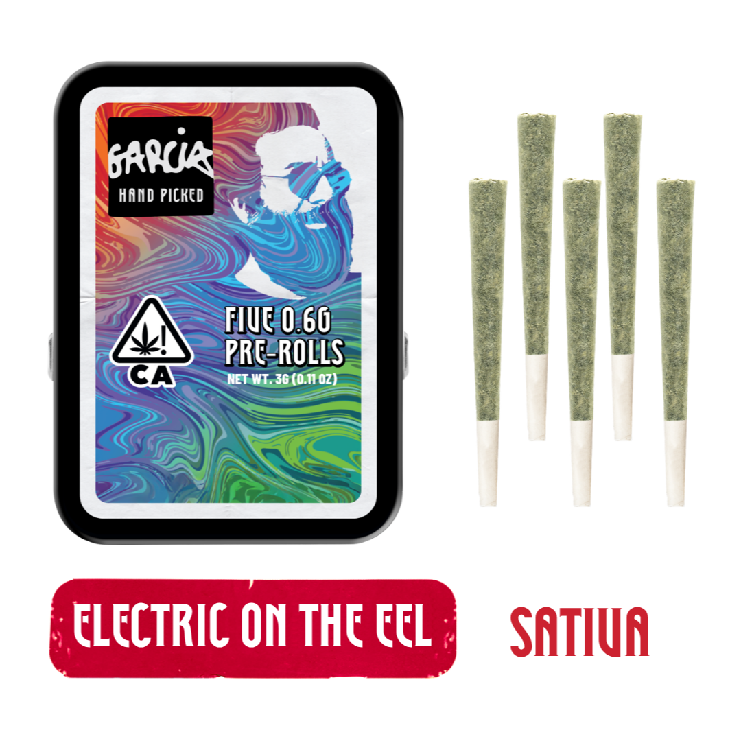 Electric On The Eel