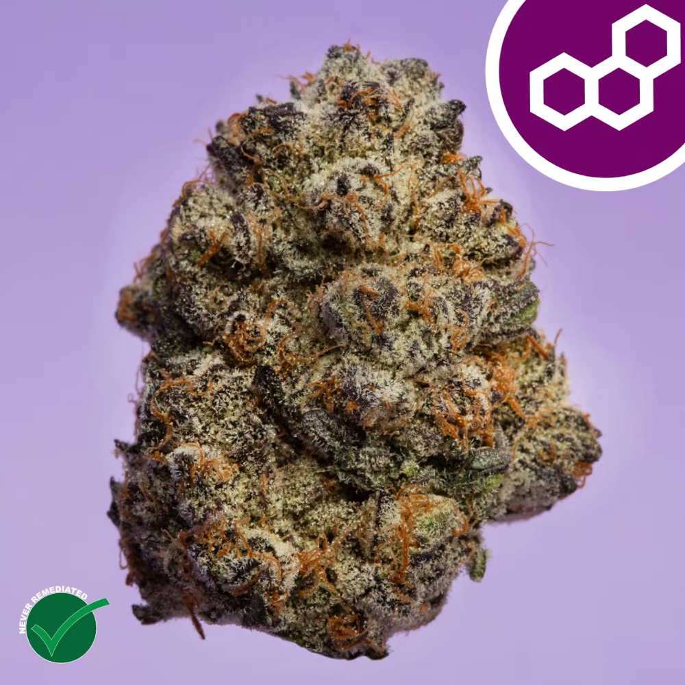 Theraplant - Jelly Roll (I) Flower  C0040001476