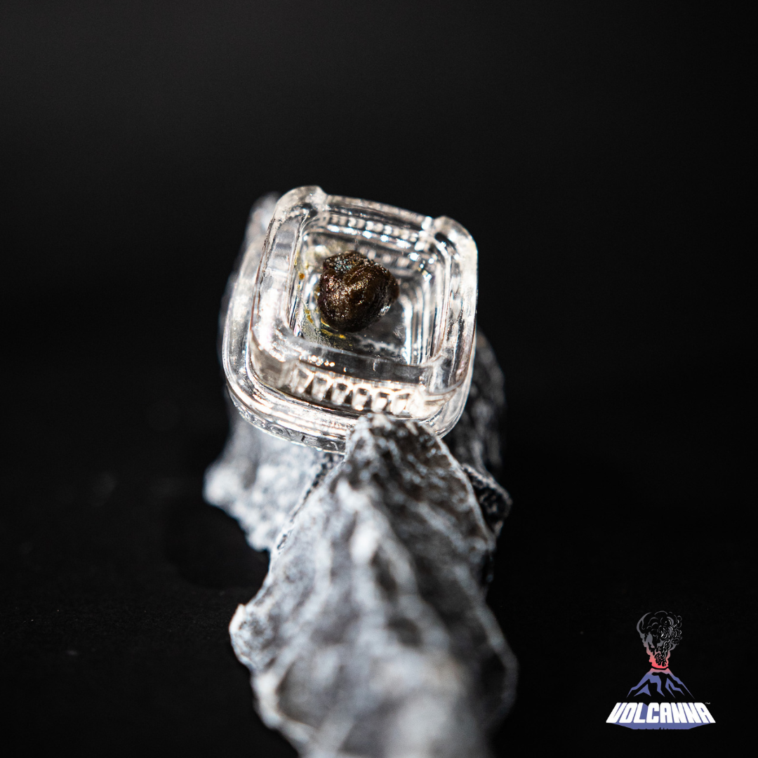 Liquid Shatter Hash Killer Bee