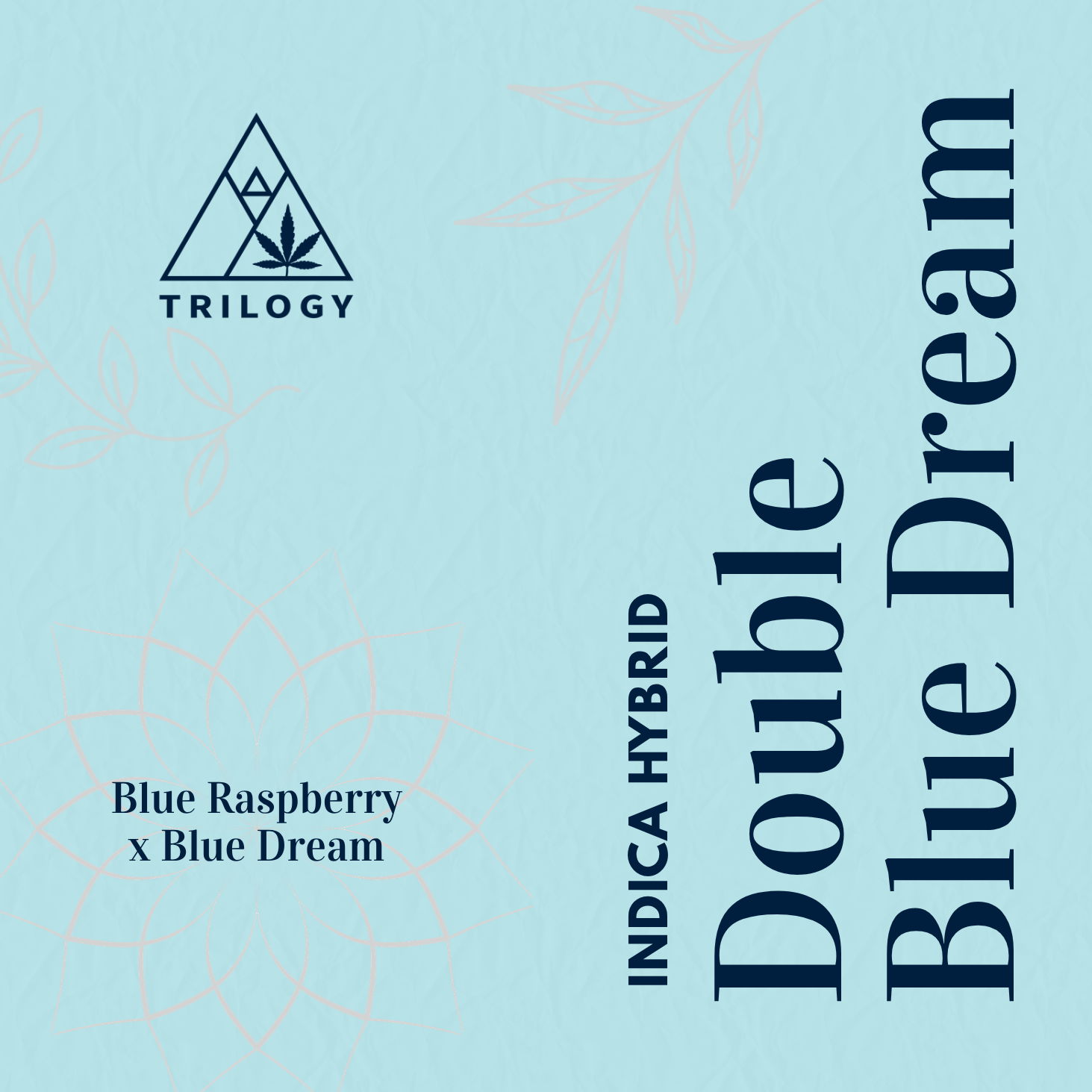 Double Blue Dream