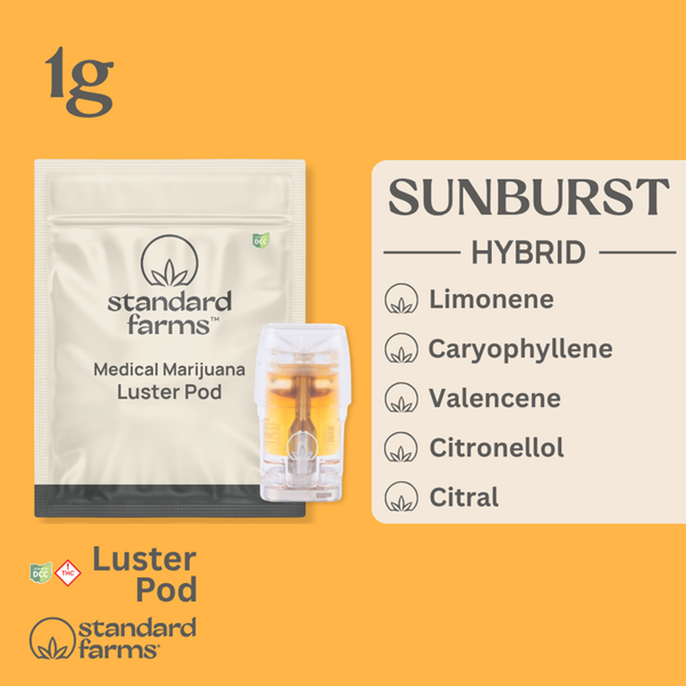 Standard Farms Sunburst Luster Pod Hybrid