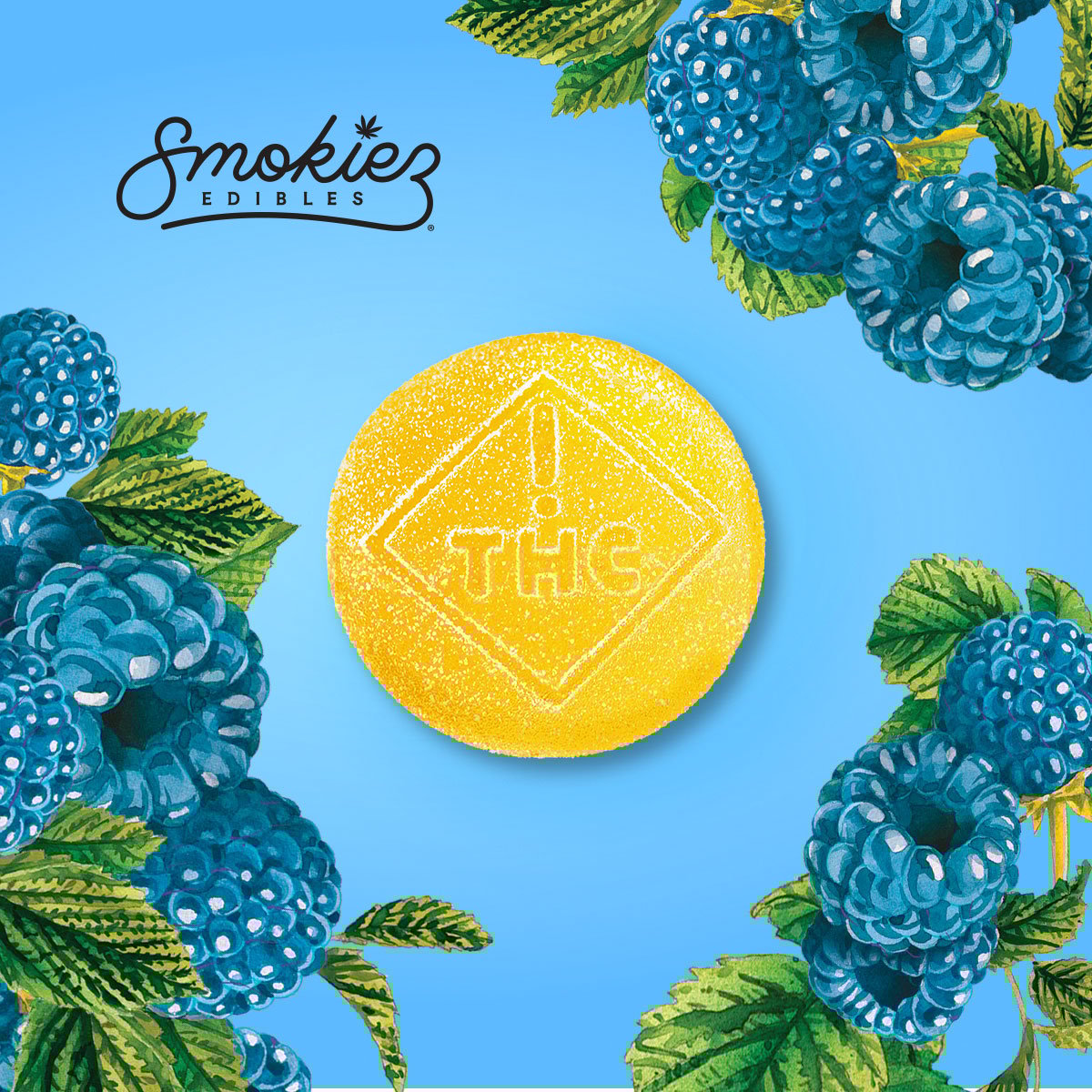 Sour Blue Raspberry Gels (100 mg) Smokiez Gels Jane