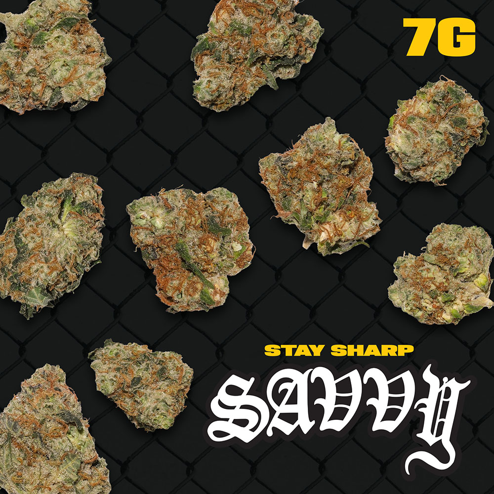 Smalls  Sunset Strip (S) 26484