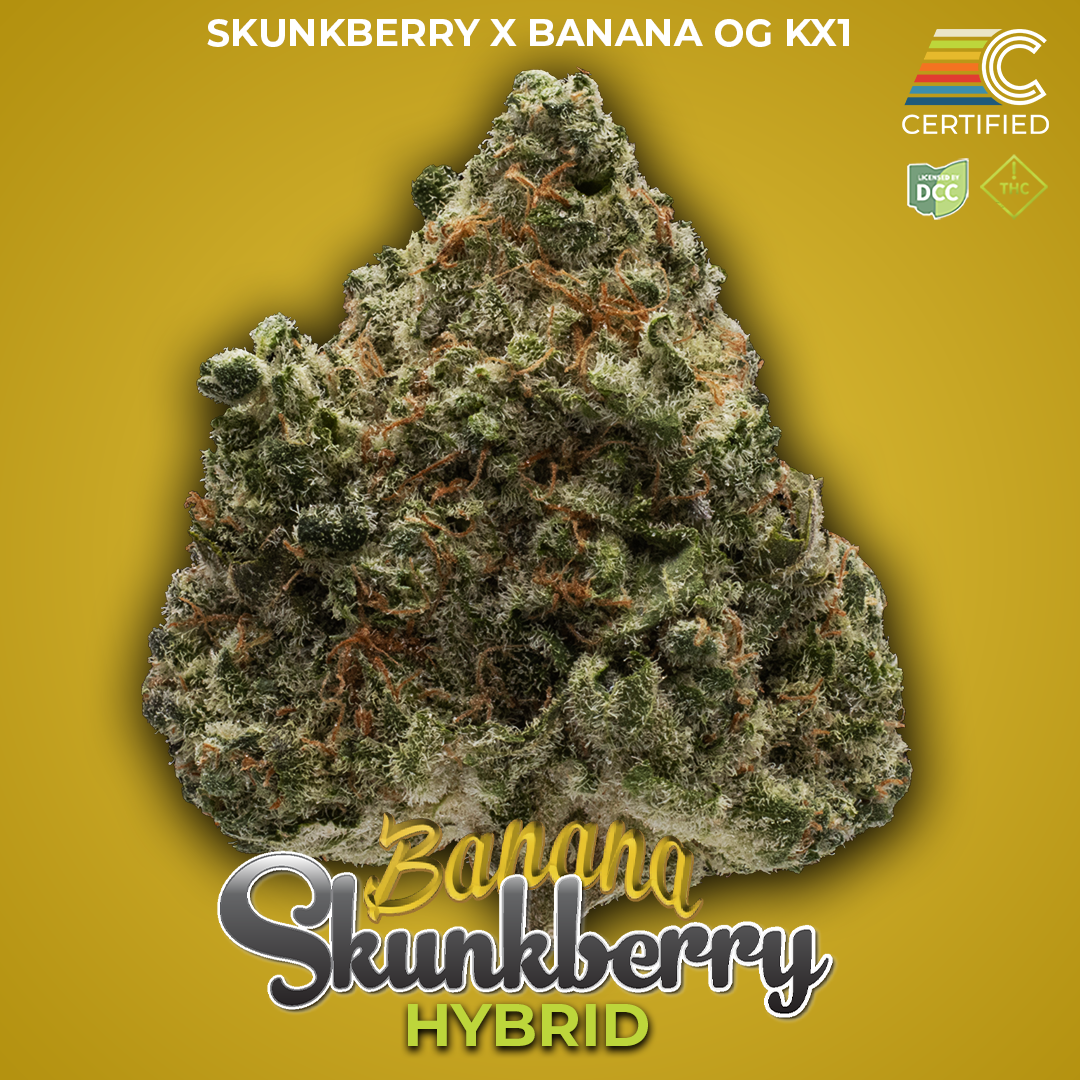 Shop Banana Skunkberry [2.83g] | Jane