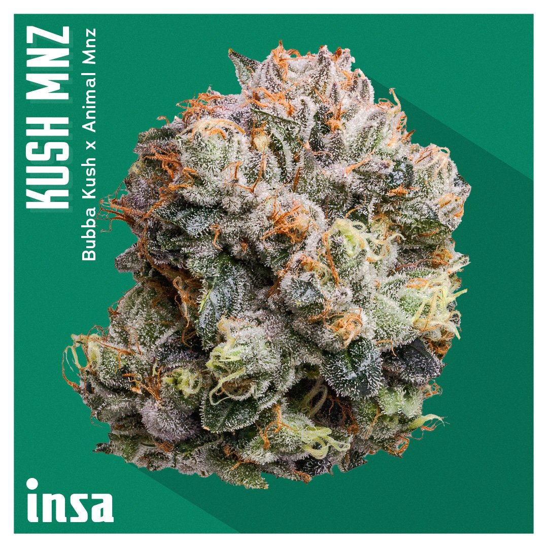 Shop Kush Mnz | Jane
