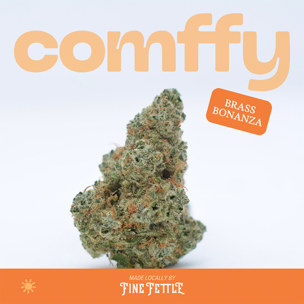 Comffy - Brass Bonanza (S) Flower  C0140000025