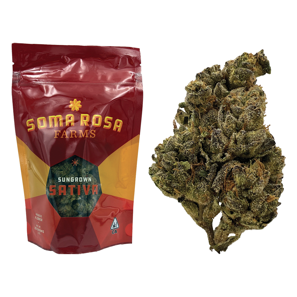 Lemonade x LPC Soma Rosa Farms Jane