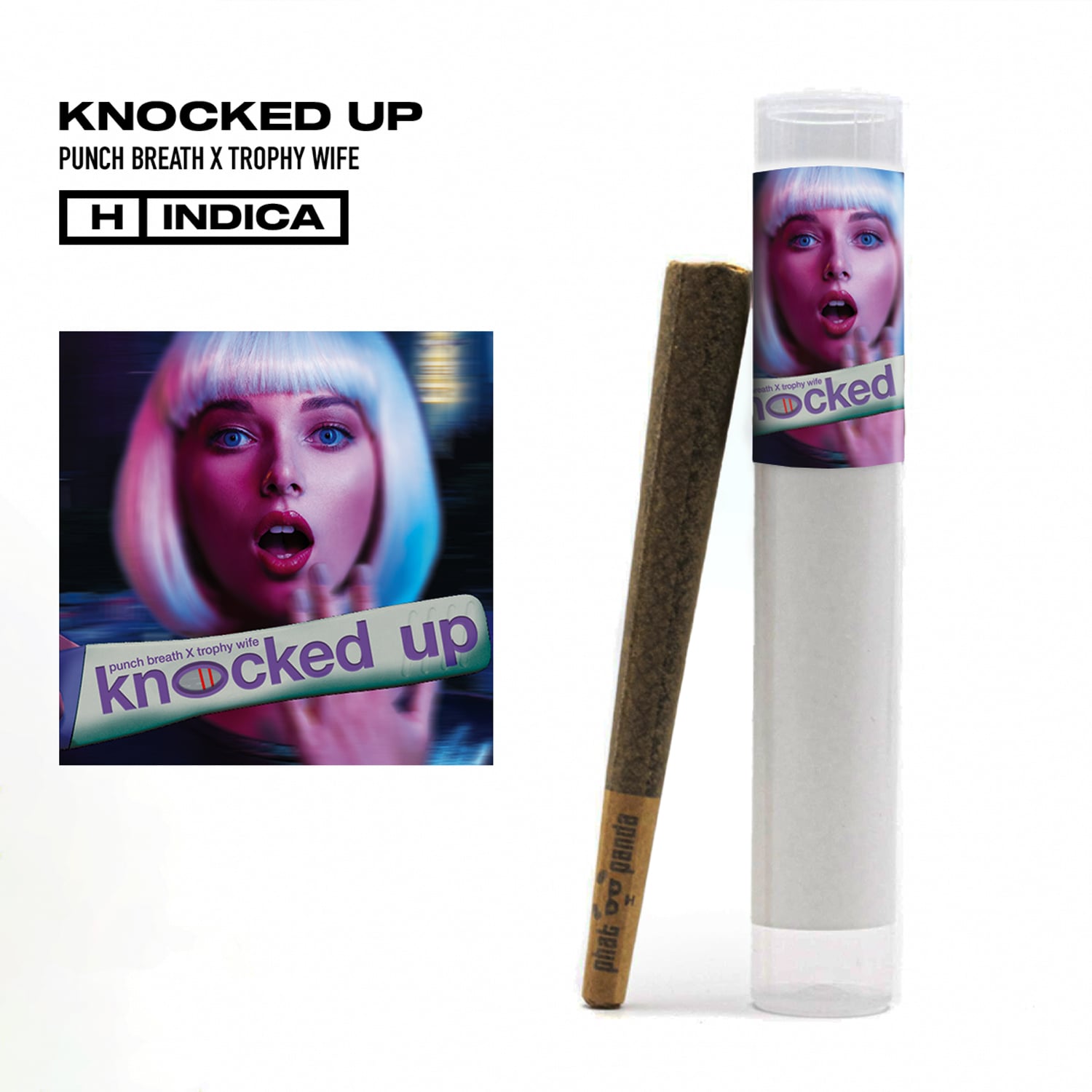 Knocked Up [1g]