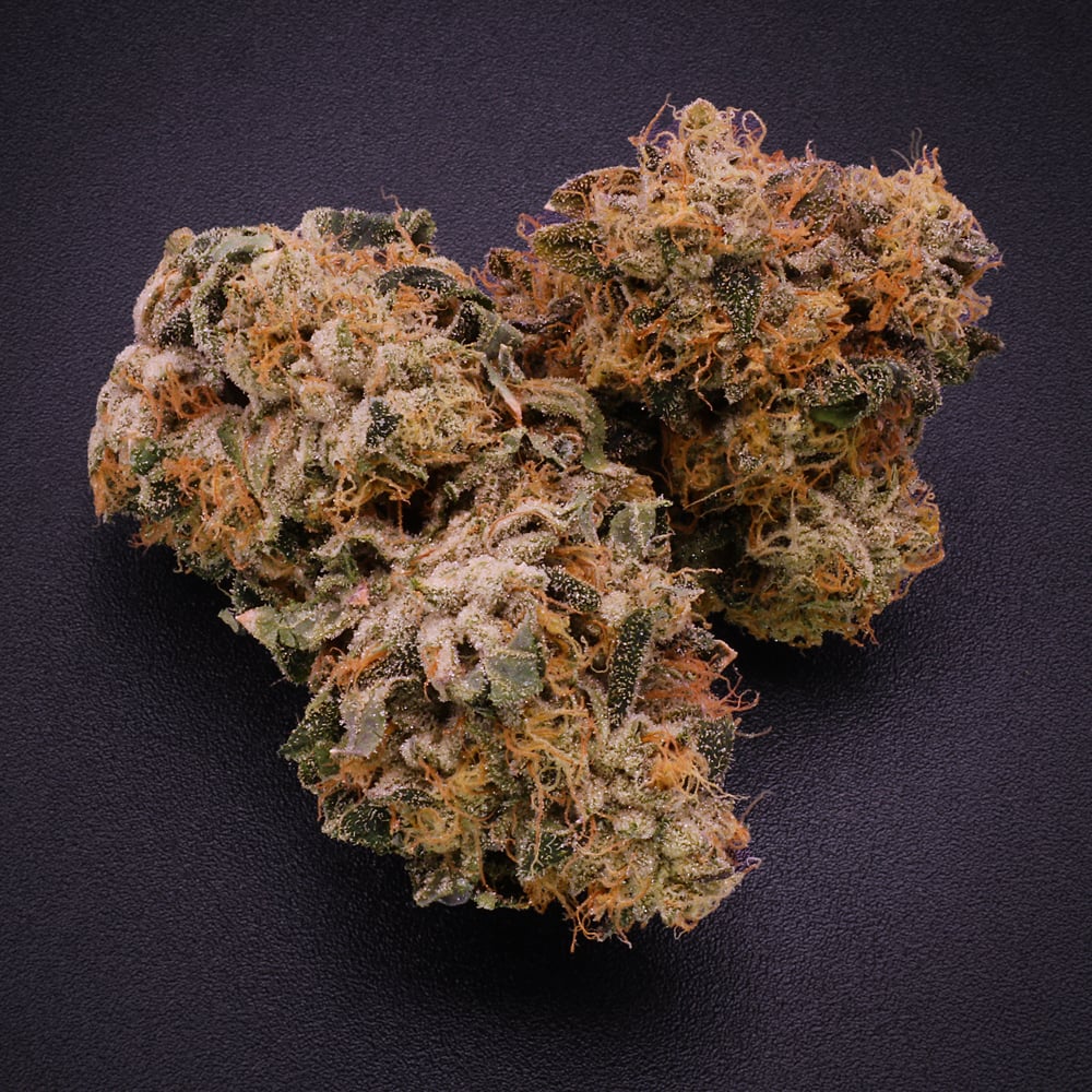 Beach Cake - 1oz in Merrimack