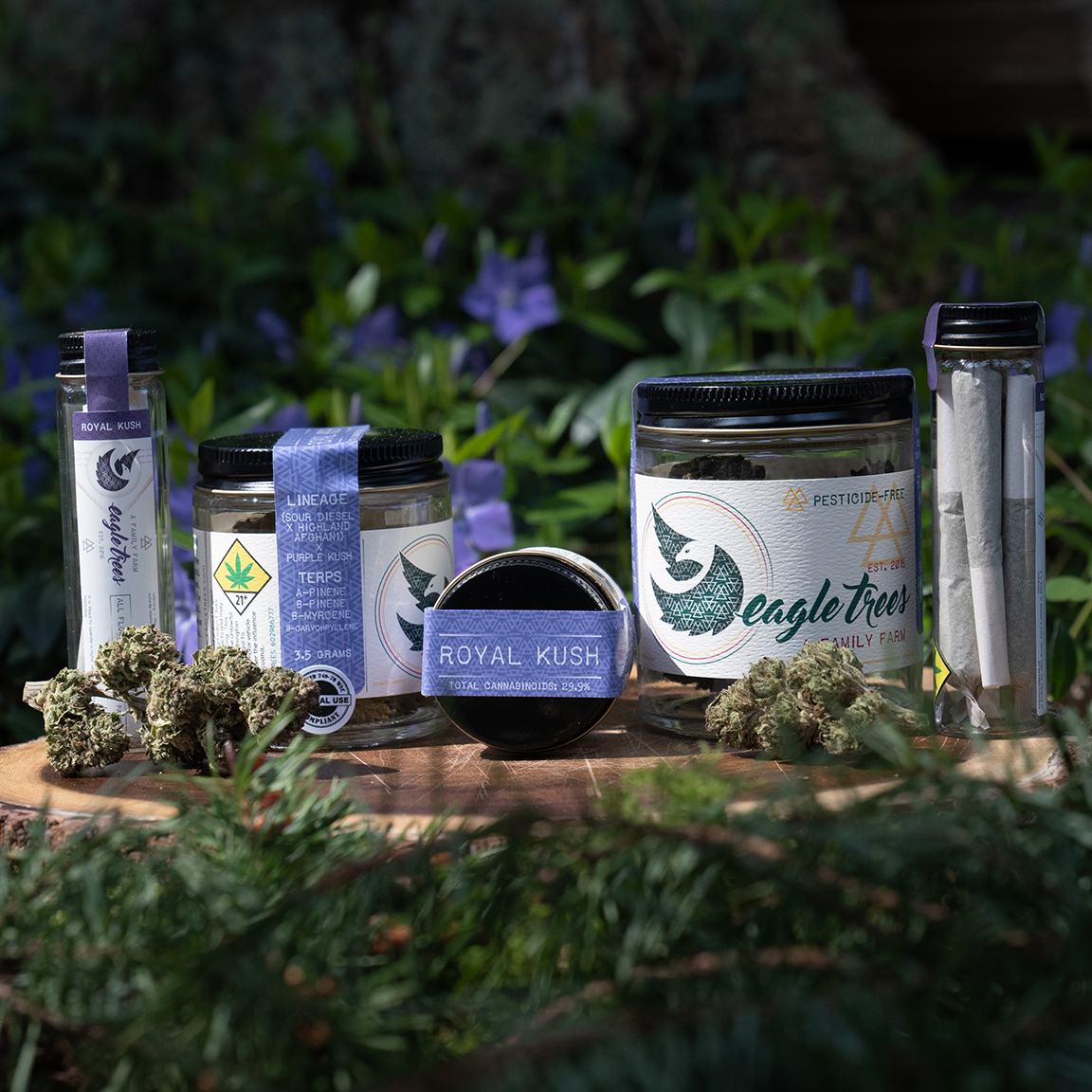 Flower - Zulu Moonshine