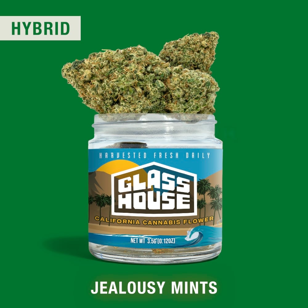 Jealousy Mints